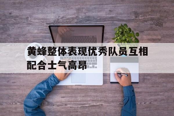 黄蜂整体表现优秀队员互相配合士气高昂